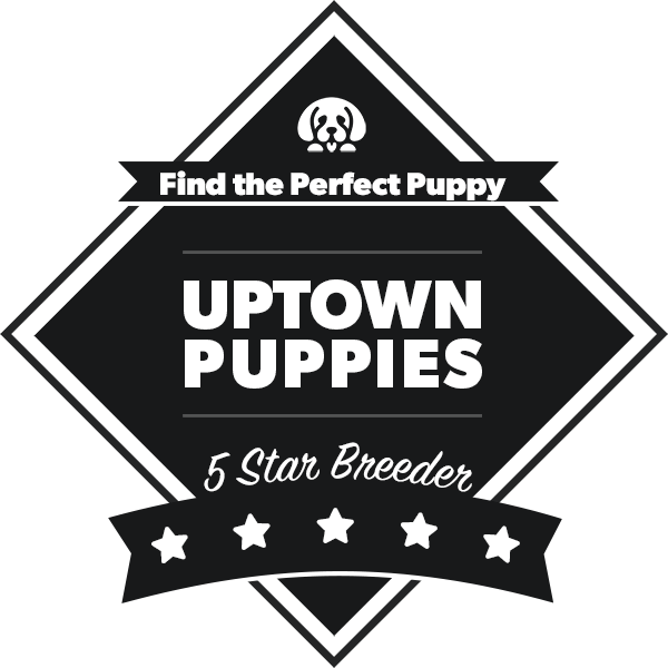 uptown puppies badge